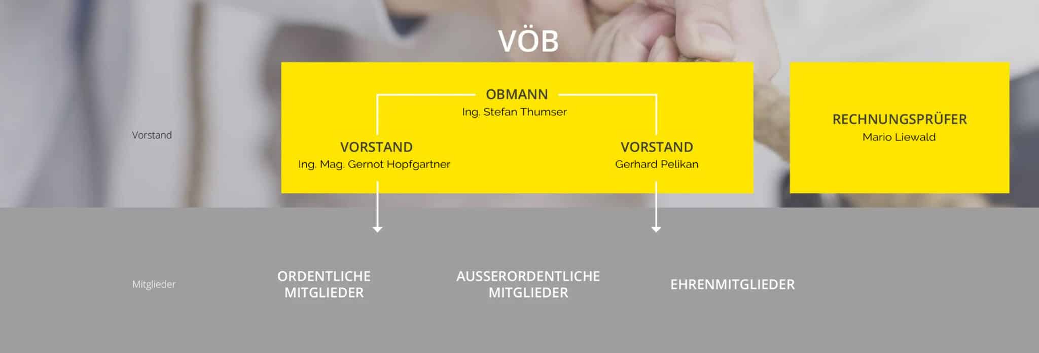 VÖB - Board Structure - laptopView